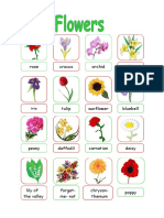 Flowers Classroom Posters Fun Activities Games Picture Des - 62833