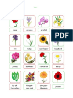 Common Garden Flowers Guide
