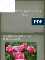 Budidaya Tanaman Hias Bunga