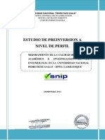 Estudio de Preinversion A Nivel de Perfil: Universidad Nacional "Pedro Ruiz Gallo"