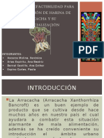 Estudio de factibilidad para producir y comercializar harina de arracacha