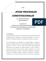 Garantías Procesales Constitucionales en México