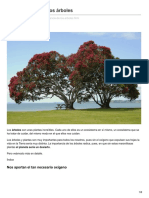 La Importancia de Los Árboles PDF