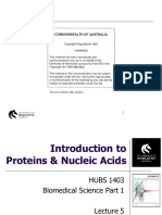 HUBS1403 - Biomedical Science 1 - Lecture 5. Proteins and Nucleic Acids