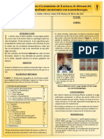 Baner PDF