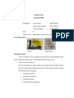 Kelas B - Kelompok 11 - Tugas Praktikum BPPR - Pengumpulan Bahan Pakan - Vitamin PDF