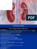 10. Afecțiunile rinichilor.pdf