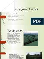 Técnicas Agroecologícas Equipo 3