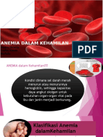 Revisi Anemia