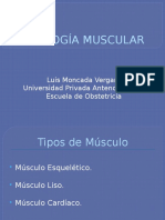 fisiologia muscular