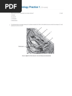 Unit 1 Cell Biology Practice 1: (72 Marks)