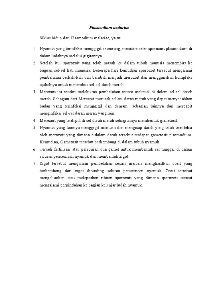 Jenis-jenis Zoologi Invertebrata