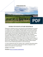 Instructiuni Plantare 1 PDF