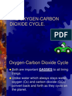 The Oxygen-Carbon Dioxide Cycle