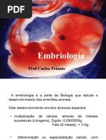 aula4embriologia-150510143838-lva1-app6892