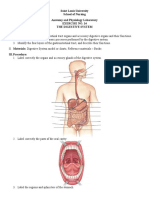 Saint Louis University School of Nursing Anatomy and Physiology Laboratory Exercise No. 14 The Digestive System I. Objectives