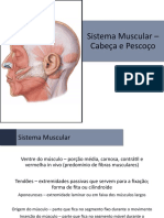 Anatomia - 08 - Sistema Muscular [Músculos da Cabeça, Pescoço e Tronco]