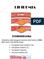 Dislipidemia 2