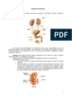 12. Renal