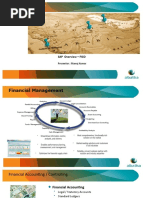 SAP FI Overview