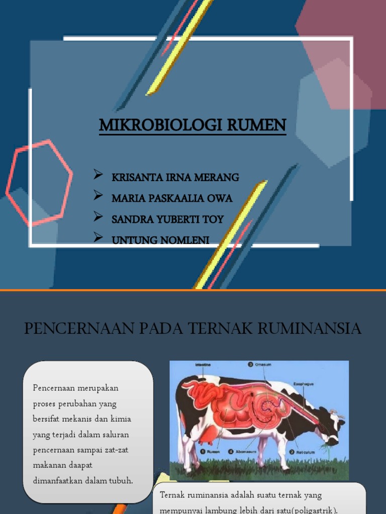 Mikrobiologi Rumen PPT Kelompok 6 | PDF