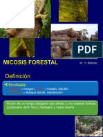 Micosis Forestal 1 PDF