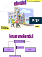 Constructia Termenilor Medicali Si Farm 2017