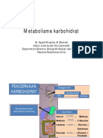 Metabolisme Karbohidrat PDF