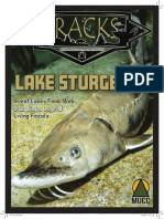 May TRACKS - Lake Sturgeon