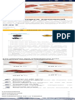 Pack Carne Compra Semanal - Decapote PDF