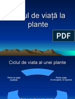 Cicluldeviataaluneiplante