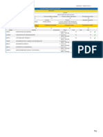 Registro Extendido PDF