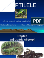 REPTILE.ppt