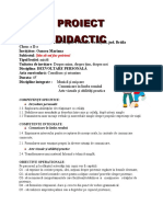 PT Proiect DP