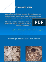 cristais_de_agua_-_massaro.pdf