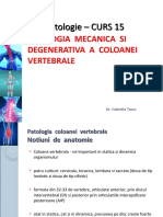 C15_Patologia_coloanei
