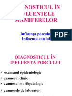 13. Diagnosticul in Influentele mamiferelor.pps