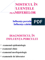 Diagnosticul in Influentele Mamiferelor - Pps