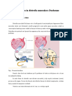 01_recuperarea_in_distrofia_musculara_Duchenne