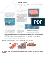 Exerc Celular PDF