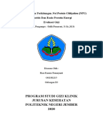 Evaluasi Gizi Perhitungan NPU Dan Rasio PE