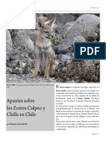 Apuntes Sobre Los Zorros Culpeo y Chilla en Chile PDF