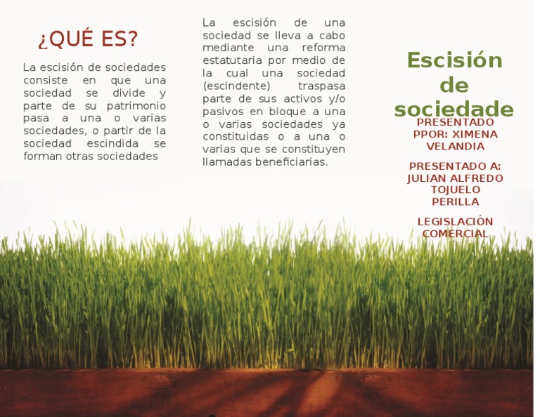 Escisión de Sociedades: Conceptos Clave | PDF