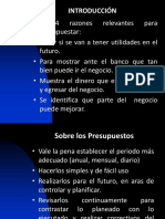 Presupuesto Aplicado A La Empresa Privada