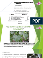 Identificación y cuantificación de compuestos bioactivos de la resina de Jatropha gaumeri