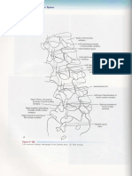 Lumbal Spine 9 OPA Export PDF