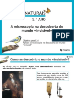 A Microscopia Na Descoberta Do Mundo Invisível