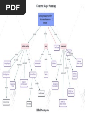 Concept_Map__Nursing-JfErnS-8CH30D2-13685