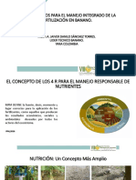 Los 4 Requisitos para El Manejo Integrado de La Fertilización en Banano Danilo Sanchez PDF