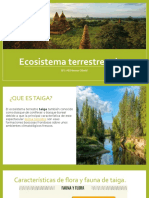 Ecosistema Terrestre Taiga Ali